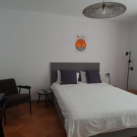 The Pines Serviced Apartments Braşov Exterior foto