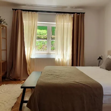 The Pines Serviced Apartments Braşov Exterior foto